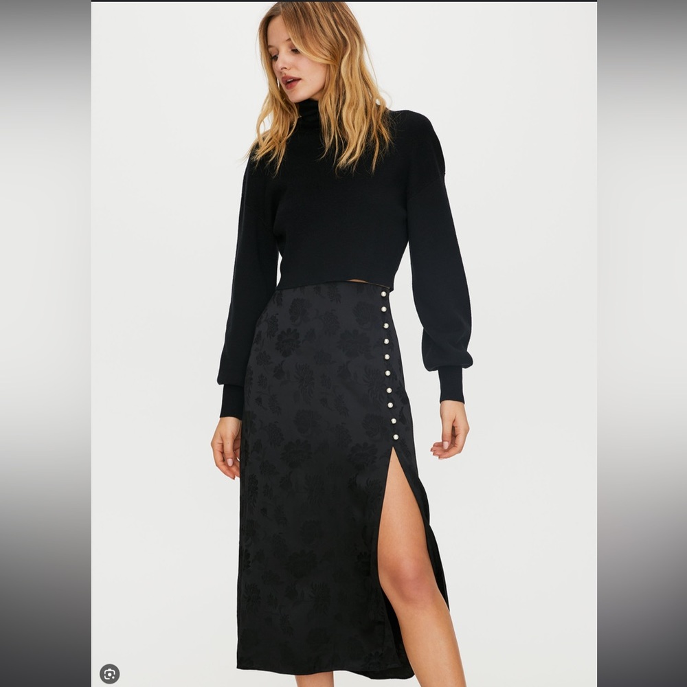 Aritzia skirt